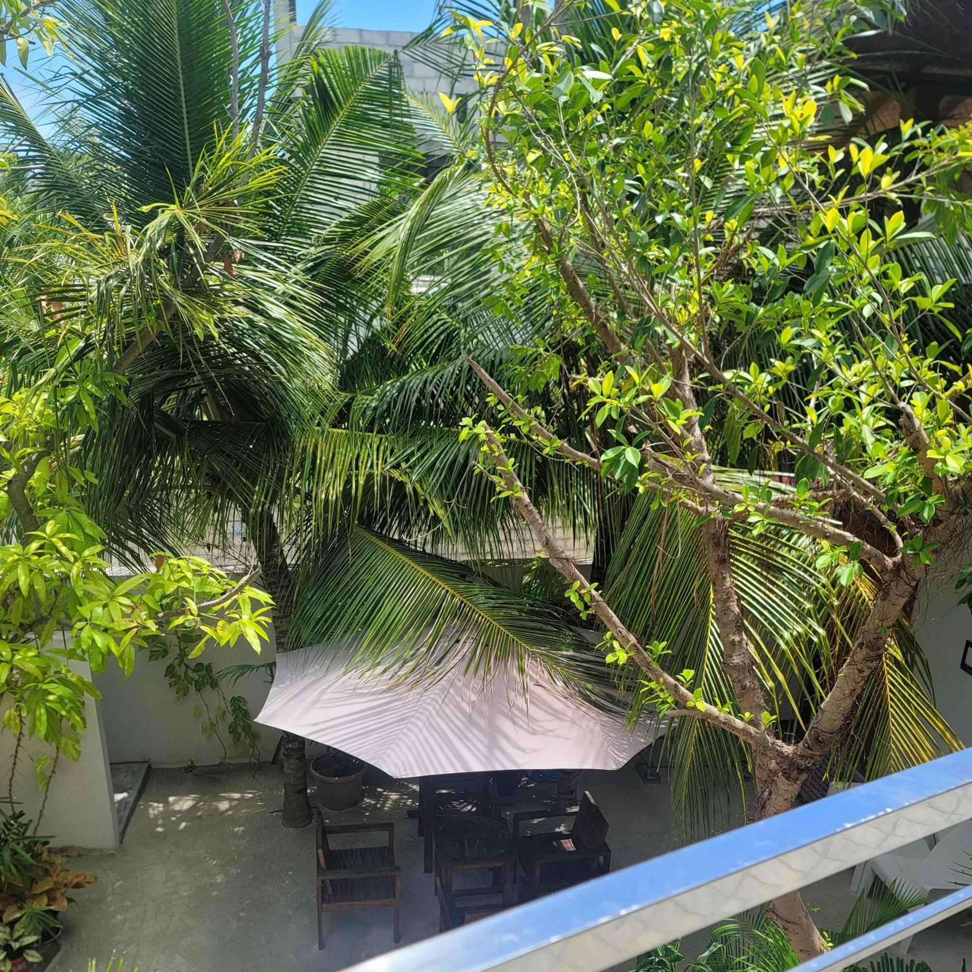 Palm Residence Rasdhoo Chambre photo